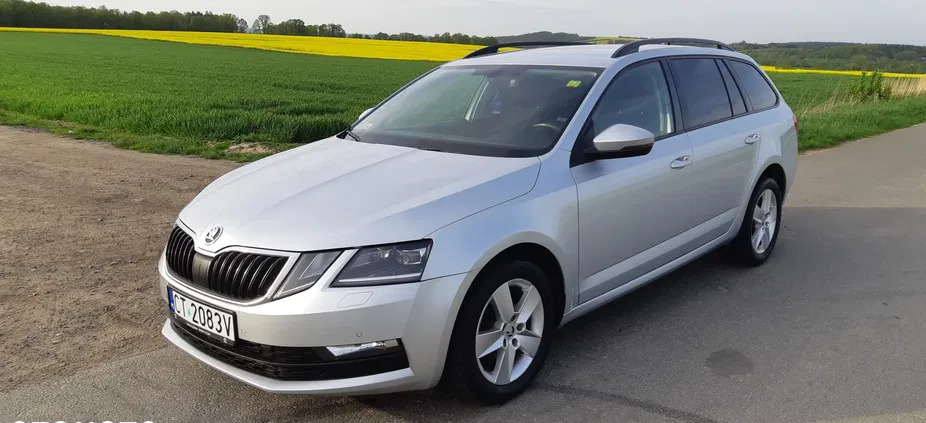 skoda octavia syców Skoda Octavia cena 49900 przebieg: 176000, rok produkcji 2017 z Syców